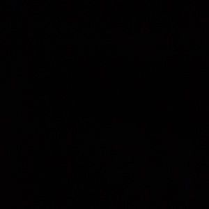 Meet your Posher, Max